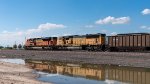 Loaded Coal at Commerce City